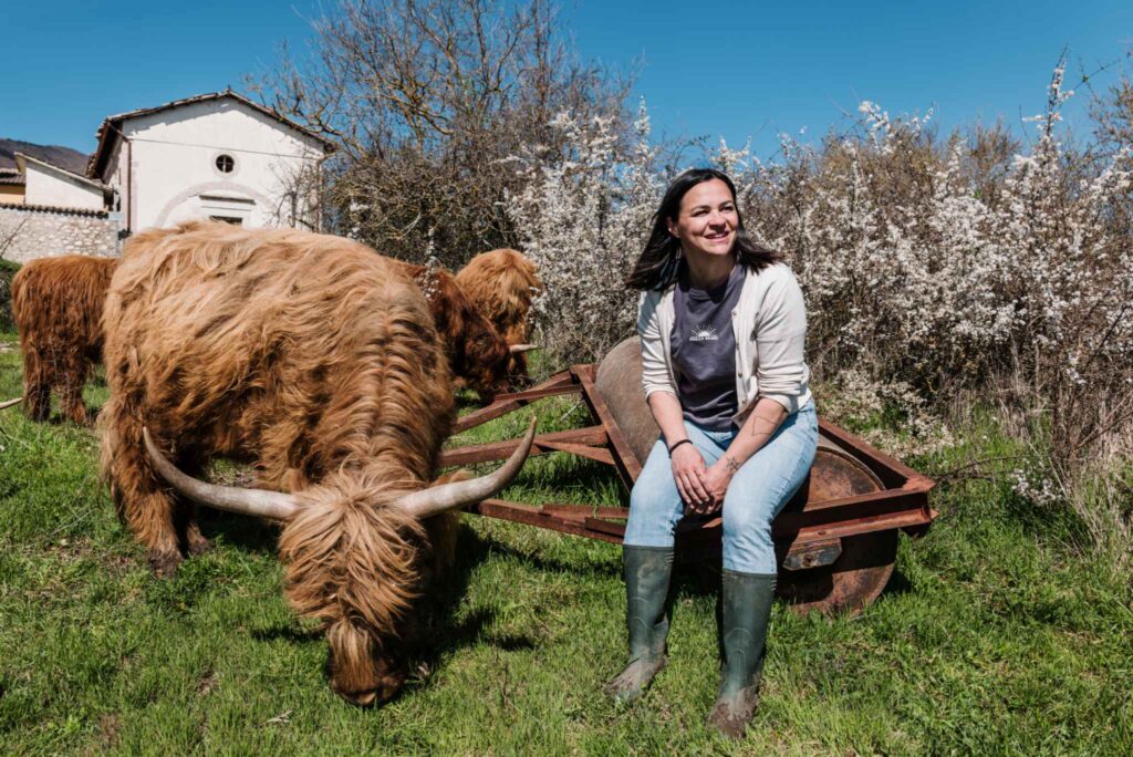 fattoria allevamento umbria mucche highland (6)